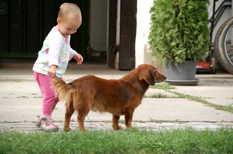pict2043.jpg